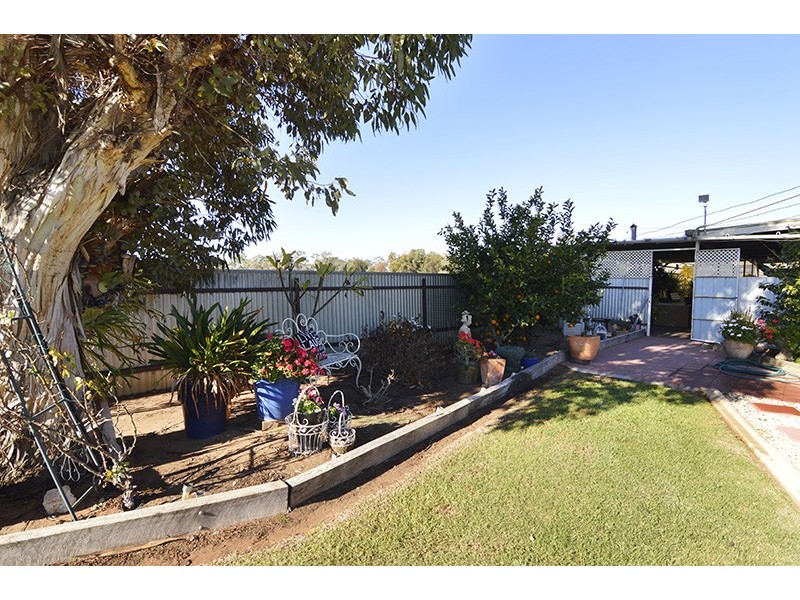 17 Ryder Crescent, Wentworth NSW 2648