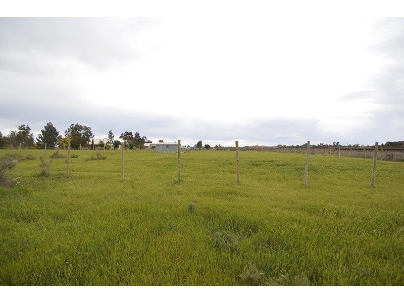 Lot 3 River Road, Dareton NSW 2717