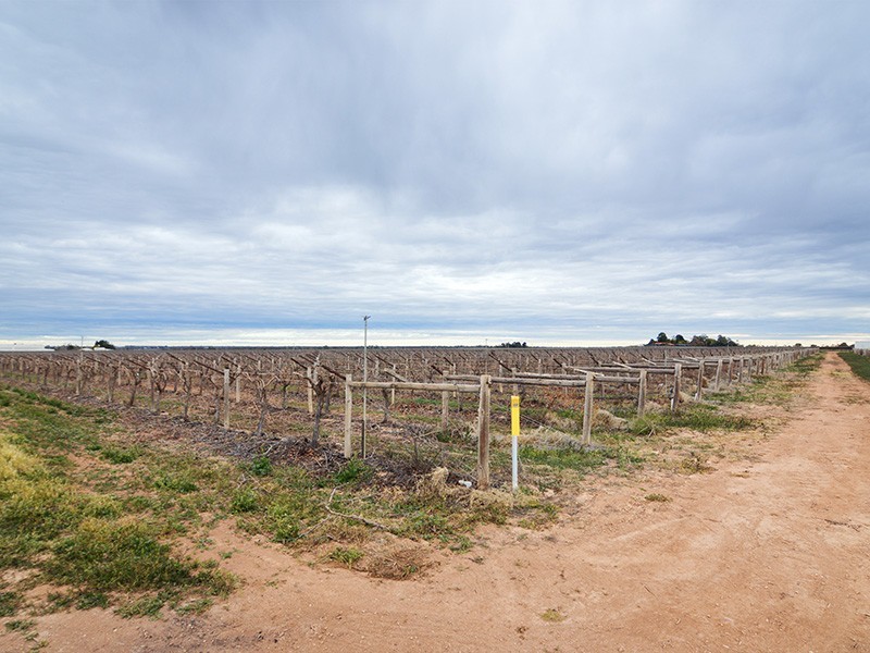 Lot 1 and 2 Paschendale Avenue, Merbein VIC 3505
