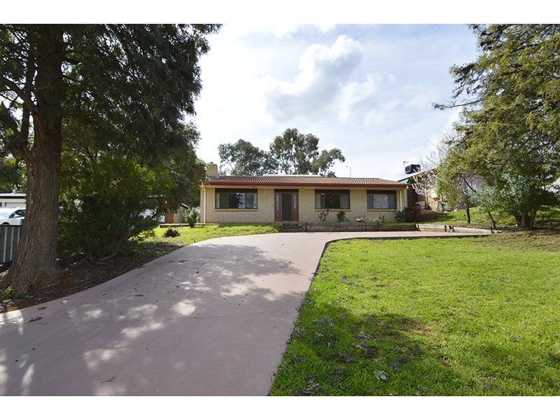 19 Riverview Drive, Dareton NSW 2717