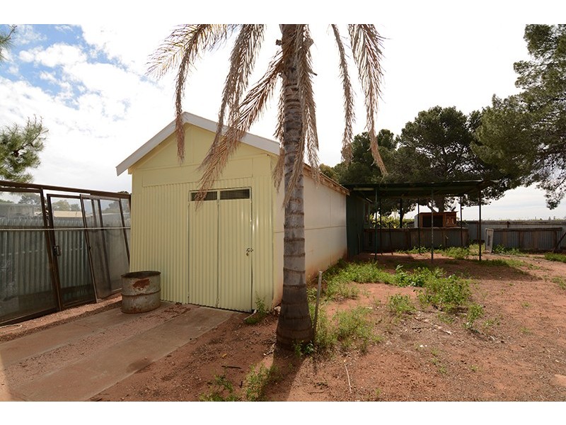 83 Tapio Street, Dareton NSW 2717