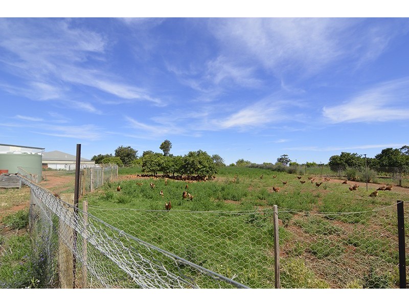 343 Cowanna Avenue, Merbein South VIC 3505