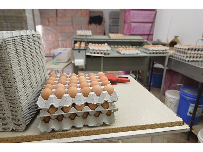 343 Cowanna Avenue, Merbein South VIC 3505