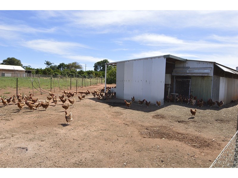 343 Cowanna Avenue, Merbein South VIC 3505