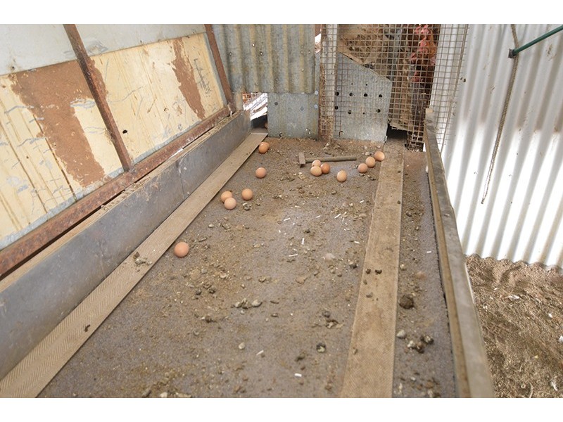 343 Cowanna Avenue, Merbein South VIC 3505