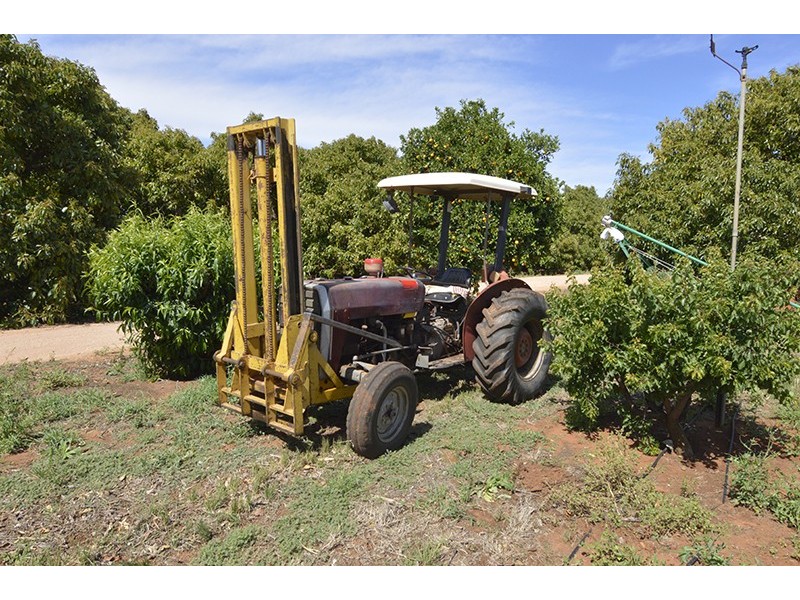 343 Cowanna Avenue, Merbein South VIC 3505