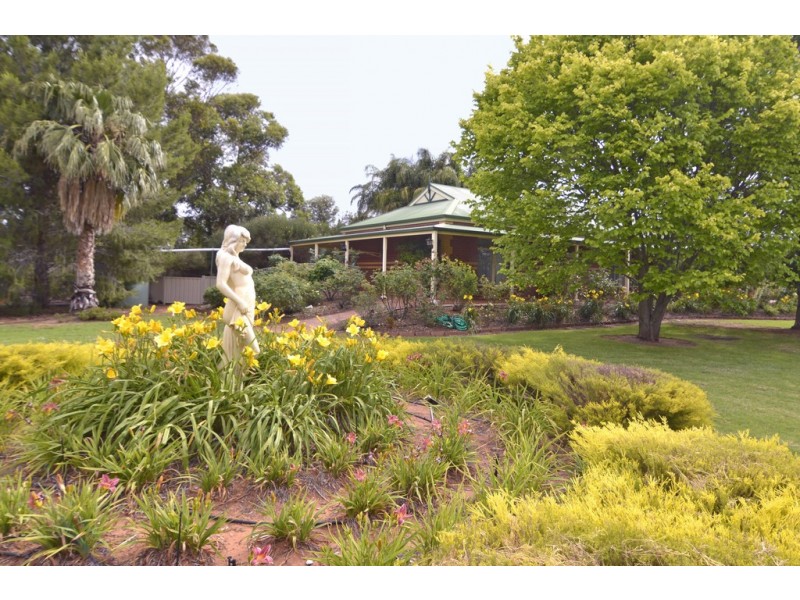 66 First Street, Nichols Point VIC 3501