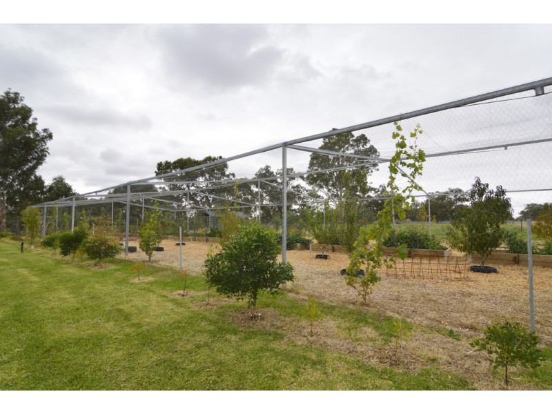 110 Darling View Road, Wentworth NSW 2648
