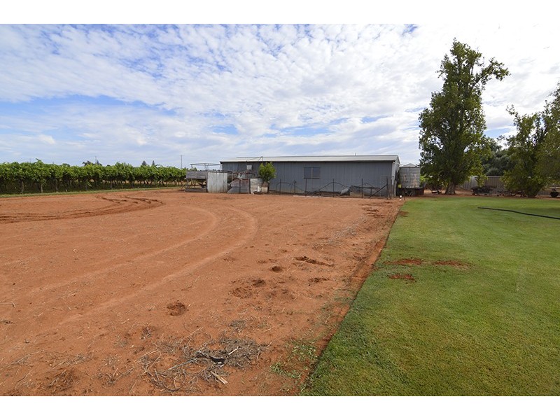 1151 Karadoc Avenue, Irymple VIC 3498