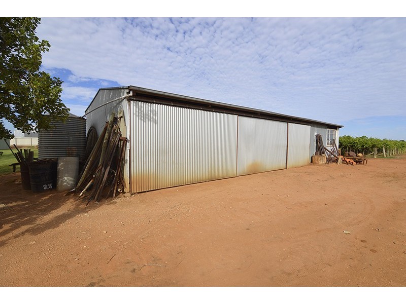 1151 Karadoc Avenue, Irymple VIC 3498