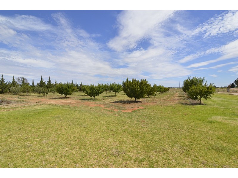 379 Fifth Street, Merbein VIC 3505