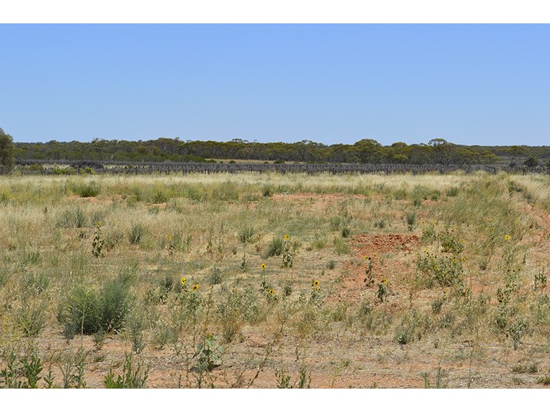 420A Boomerang Avenue, Cardross VIC 3496