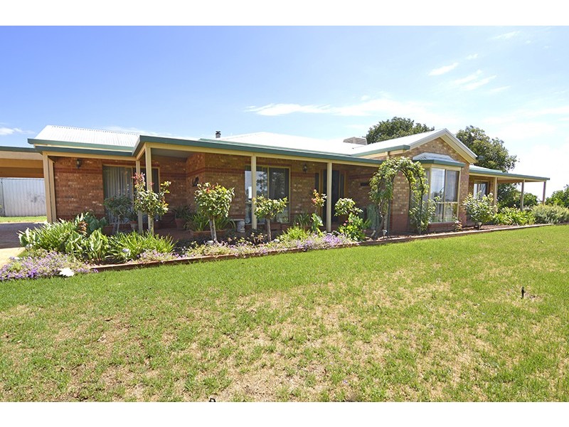 49 McCracken Street, Irymple VIC 3498