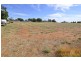 Lot 2 Yanco Road, Dareton NSW 2717