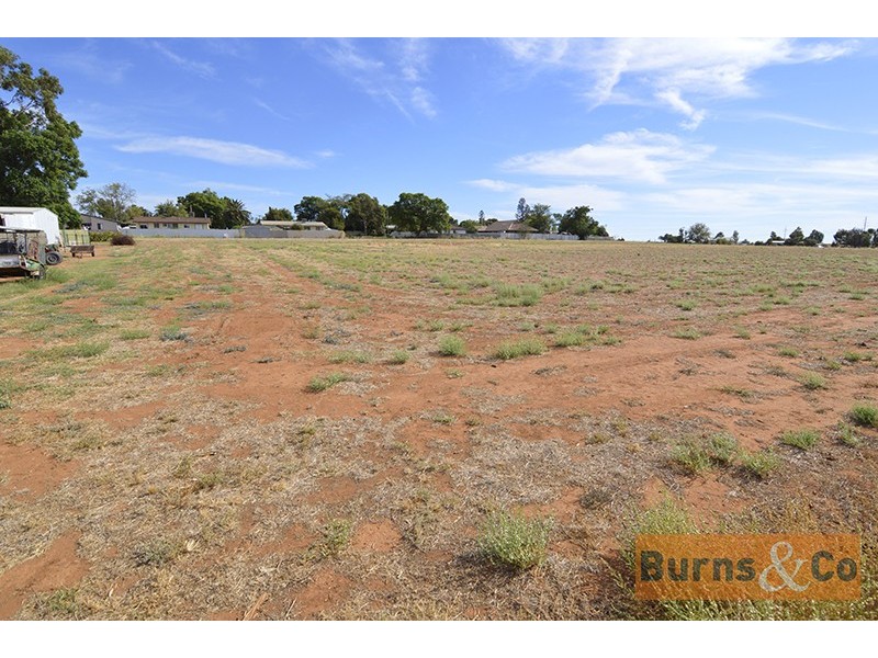 Lot 2 Yanco Road, Dareton NSW 2717