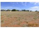 Lot 4 Yanco Road, Dareton NSW 2717
