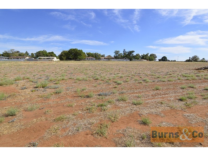 Lot 4 Yanco Road, Dareton NSW 2717