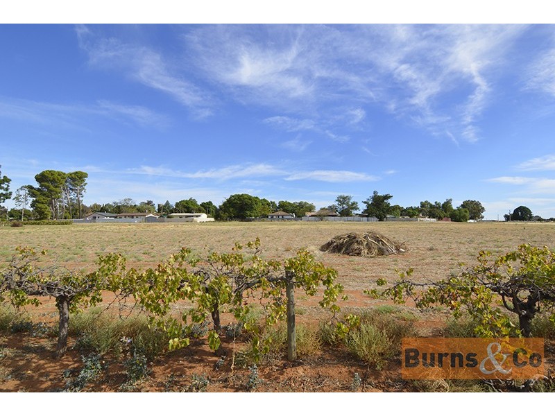 Lot 4 Yanco Road, Dareton NSW 2717