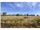 Lot 4 Yanco Road, Dareton NSW 2717