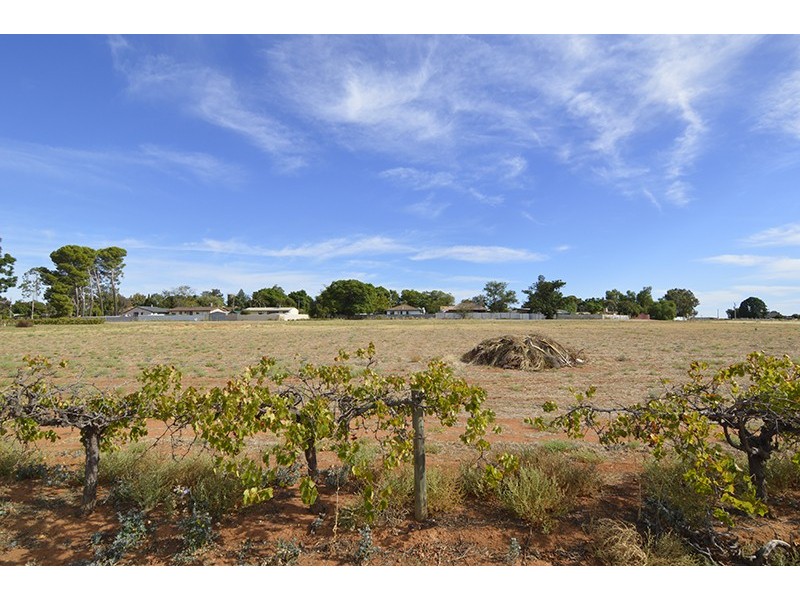 Lot 4 Yanco Road, Dareton NSW 2717