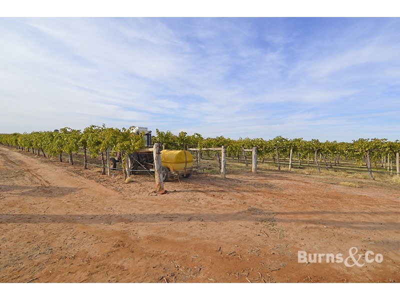 58 Cowanna Avenue South, Merbein VIC 3505