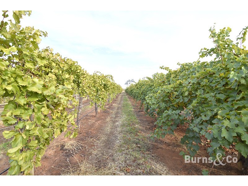 58 Cowanna Avenue South, Merbein VIC 3505