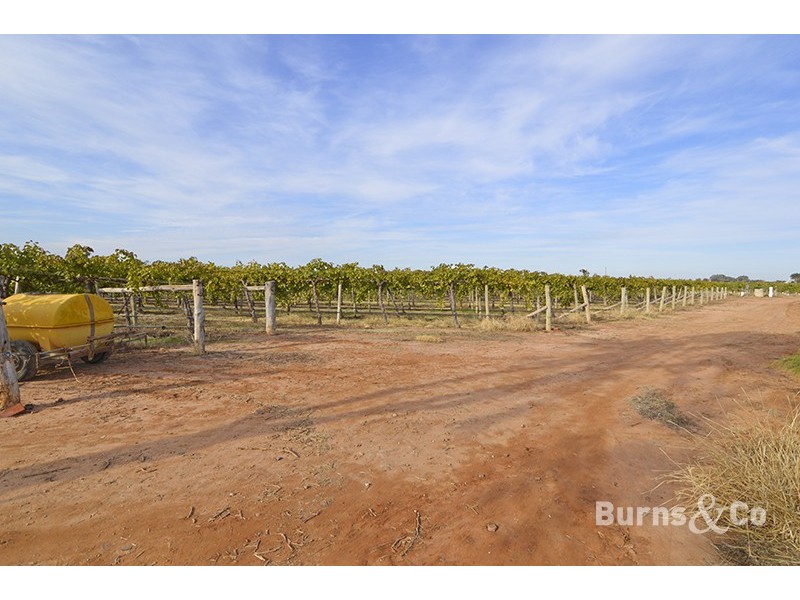 58 Cowanna Avenue South, Merbein VIC 3505