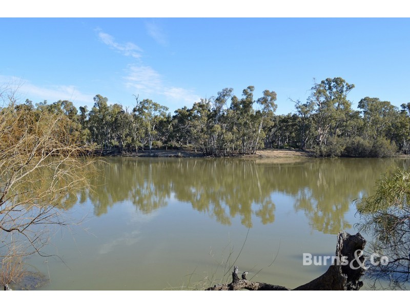 36 Riverview Drive, Dareton NSW 2717