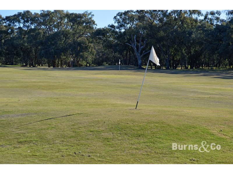 36 Riverview Drive, Dareton NSW 2717