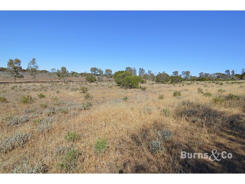 180 Merrijig Avenue, Red Cliffs VIC 3496