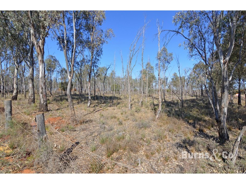 180 Merrijig Avenue, Red Cliffs VIC 3496