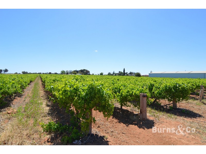 92 Fifth Street, Nichols Point VIC 3501