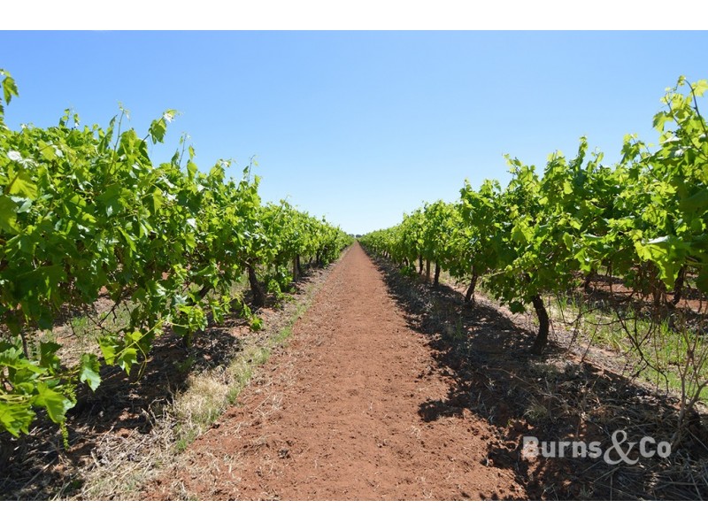 92 Fifth Street, Nichols Point VIC 3501