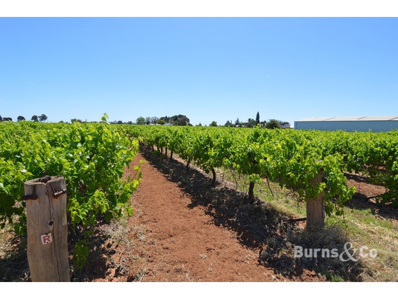 92 Fifth Street, Nichols Point VIC 3501