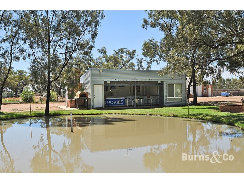 30 Little Manly Lane, Curlwaa NSW 2648