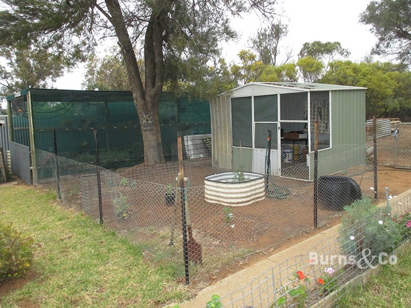 26 Murphys Road, Walpeup VIC 3507