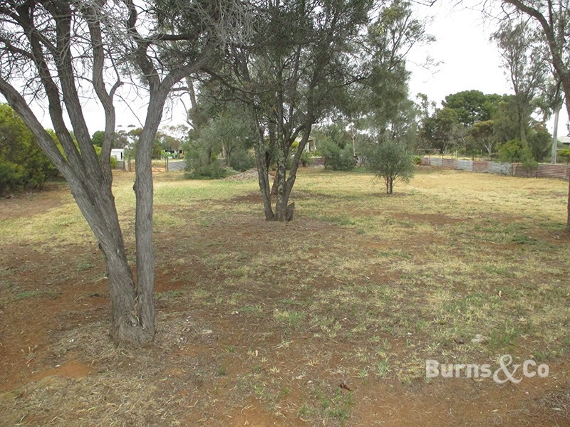 26 Murphys Road, Walpeup VIC 3507