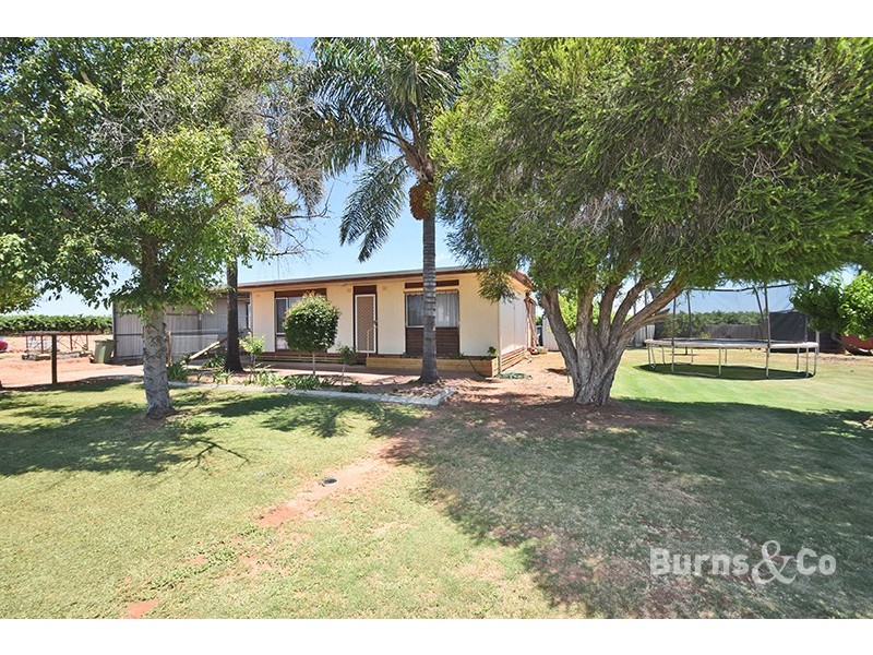 33 Cudgee Road, Dareton NSW 2717