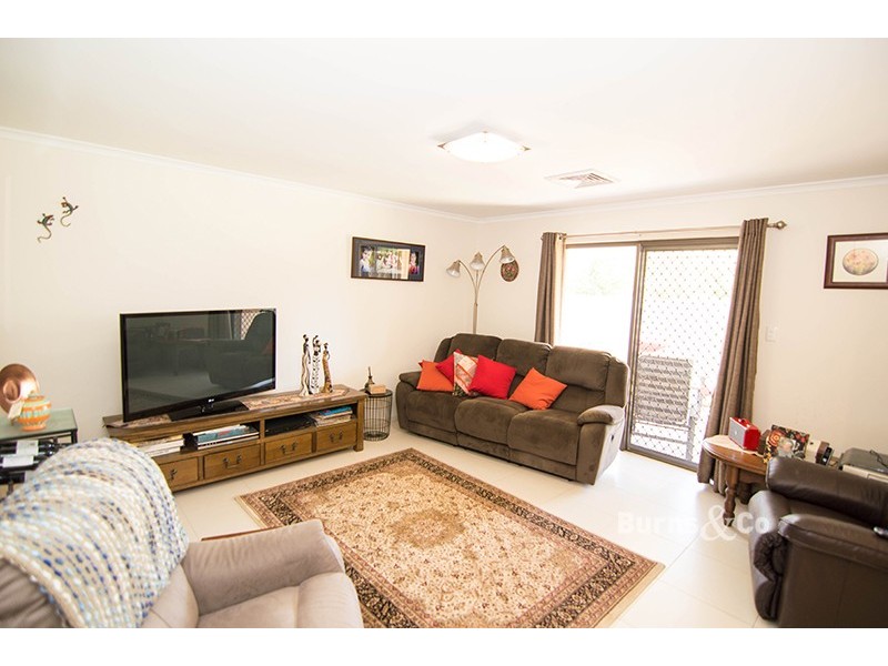 17 Wentworth Street, Wentworth NSW 2648