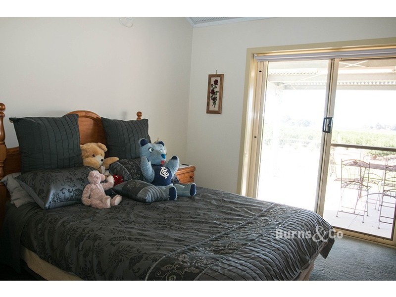 46 Hollins Road, Red Cliffs VIC 3496