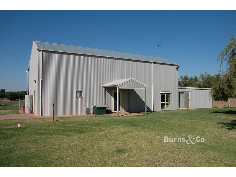 46 Hollins Road, Red Cliffs VIC 3496