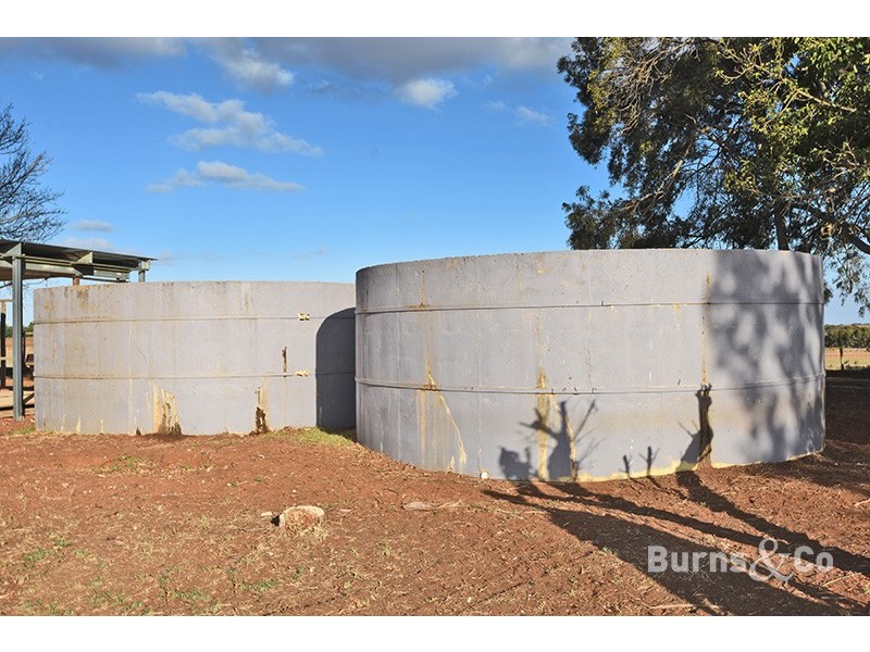 1033 Paschendale Avenue, Merbein South VIC 3505