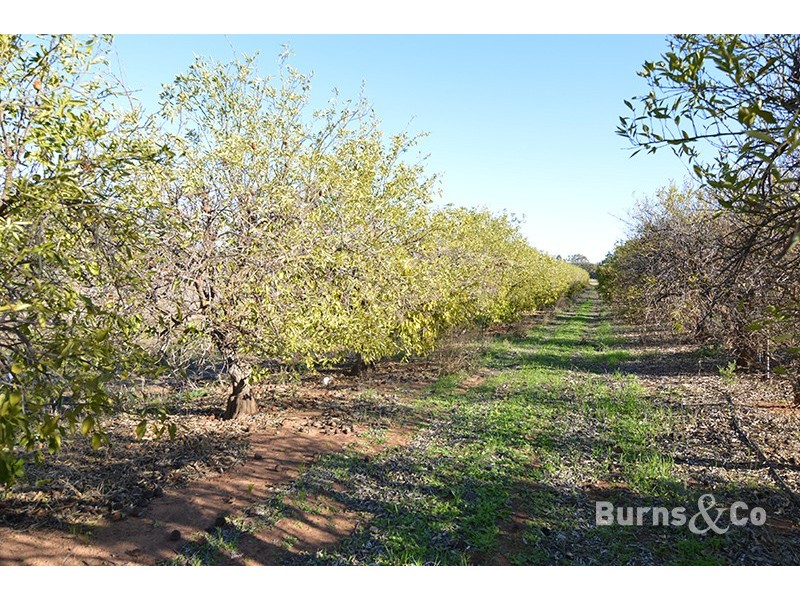 Lot 2 Hewett Road, Colignan VIC 3494