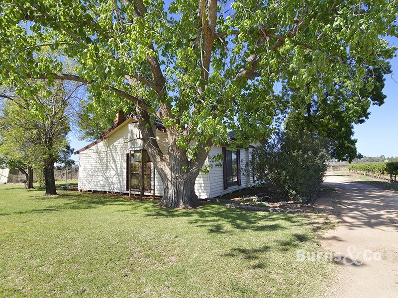 245 Cowanna Avenue South, Merbein South VIC 3505