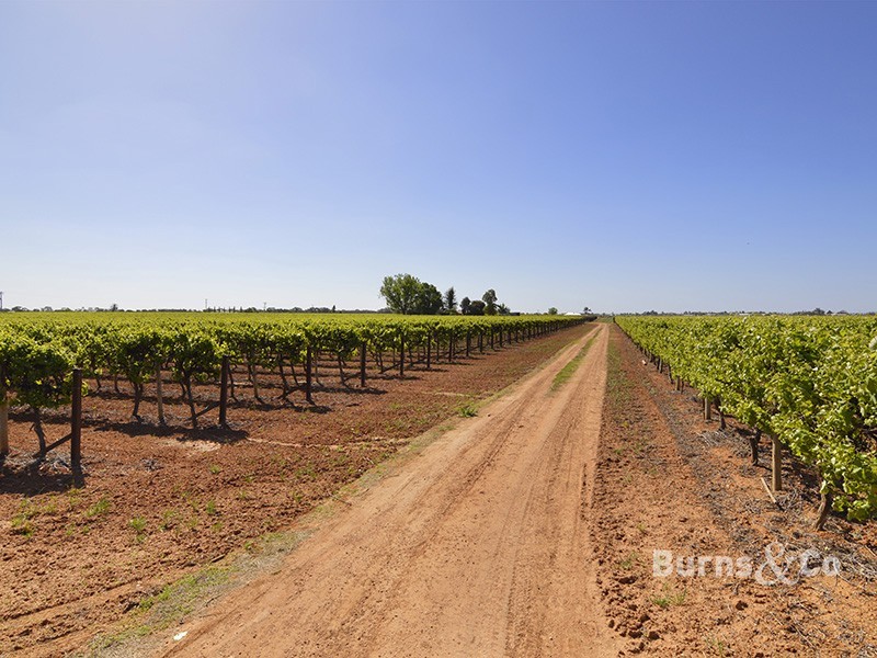 245 Cowanna Avenue South, Merbein South VIC 3505