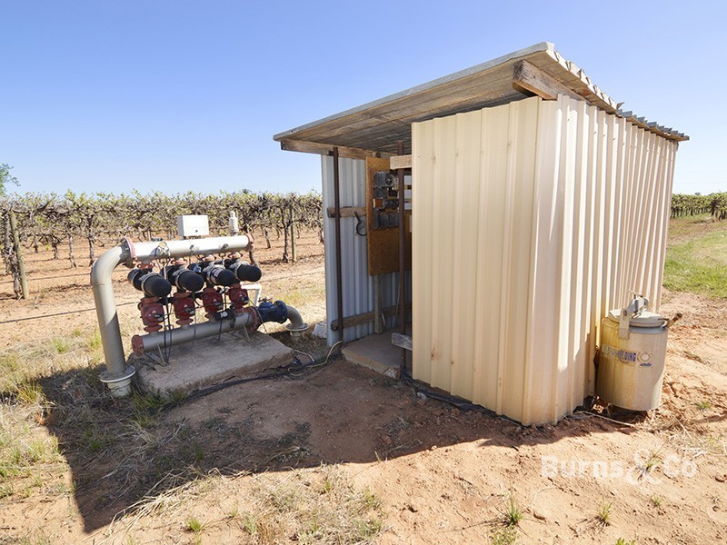 245 Cowanna Avenue South, Merbein South VIC 3505