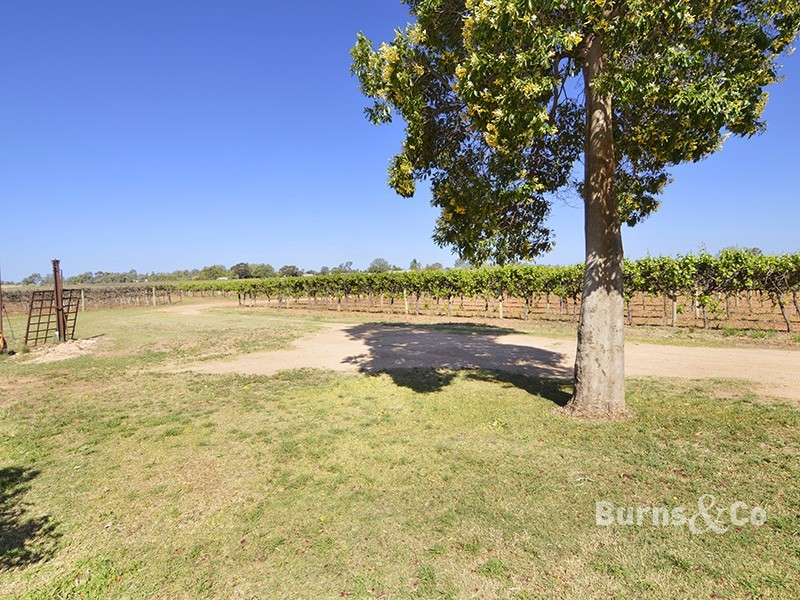 245 Cowanna Avenue South, Merbein South VIC 3505