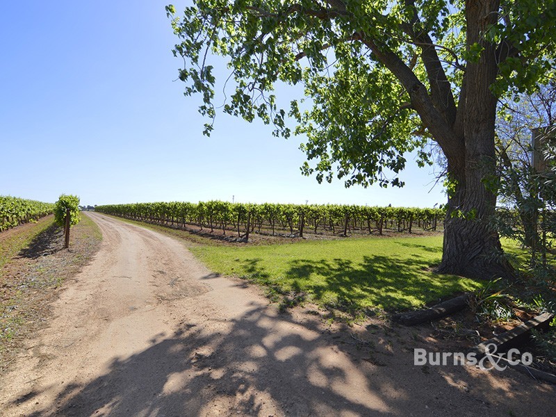 245 Cowanna Avenue South, Merbein South VIC 3505