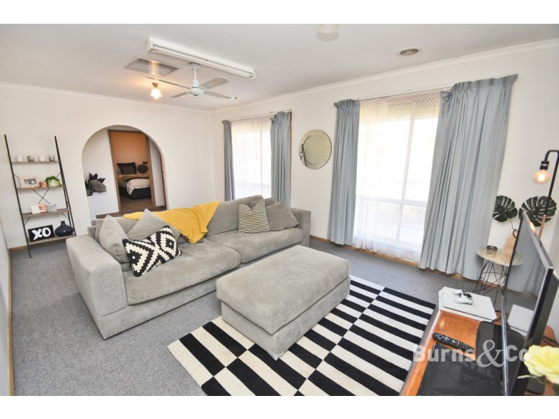 17 McKay Place, Mildura VIC 3500
