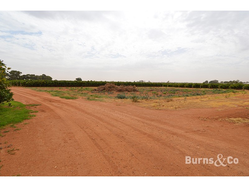 114 Seventh Street Ext, Birdwoodton VIC 3505